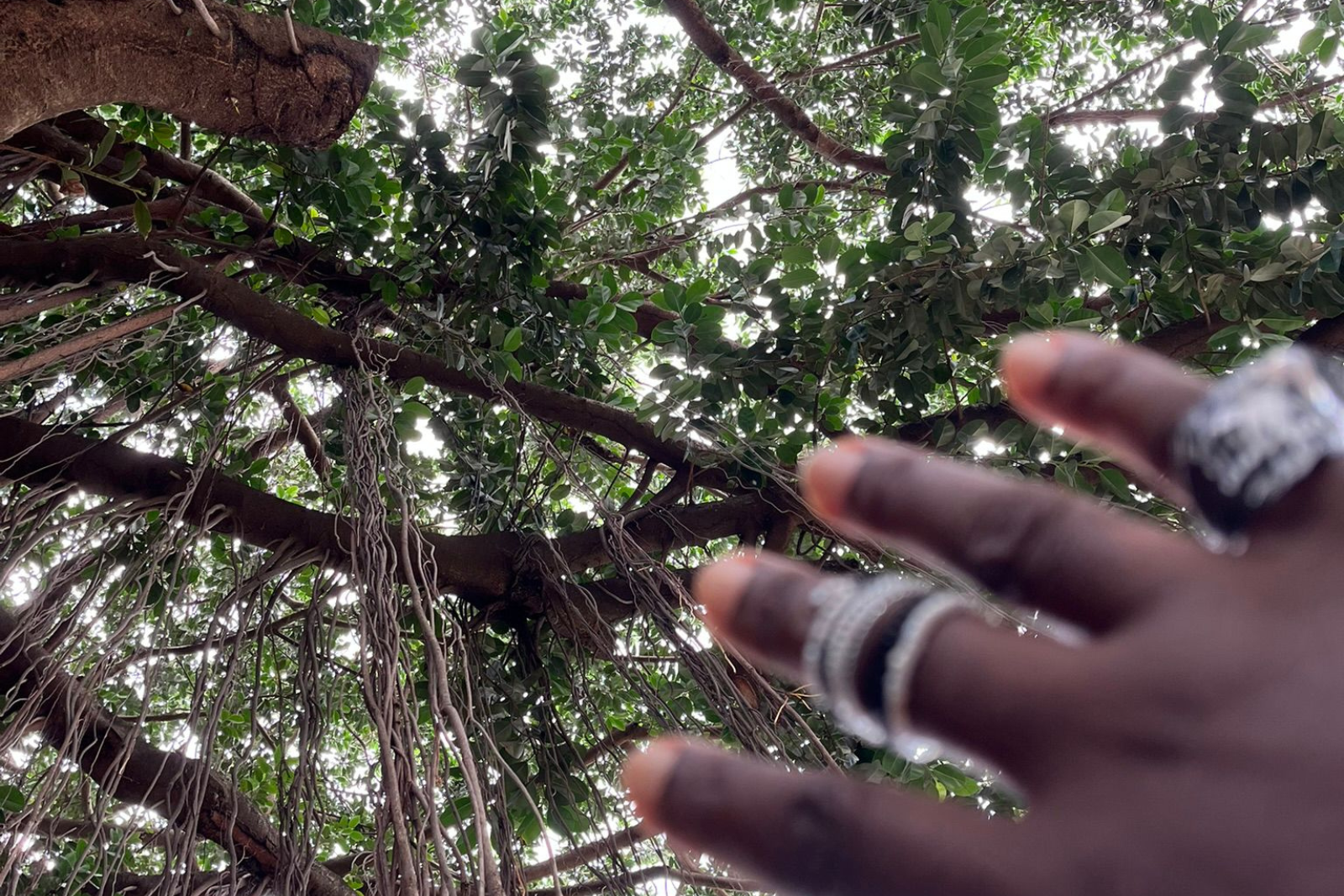 You are currently viewing Asaase Yaa in Ghana